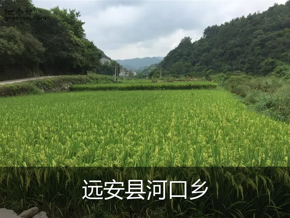 远安县河口乡